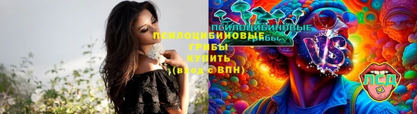 кокаин премиум Белокуриха