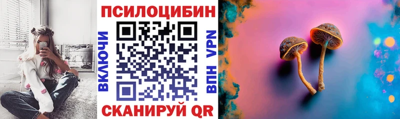 купить   Верхняя Пышма  Псилоцибиновые грибы Psilocybe 