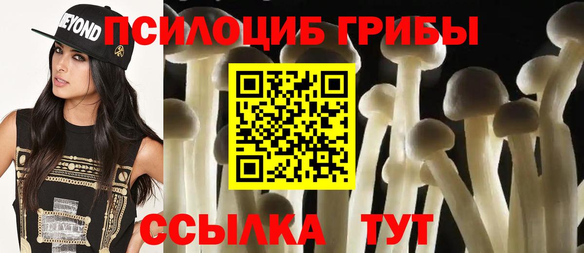 Псилоцибиновые грибы ЛСД Верхняя Пышма