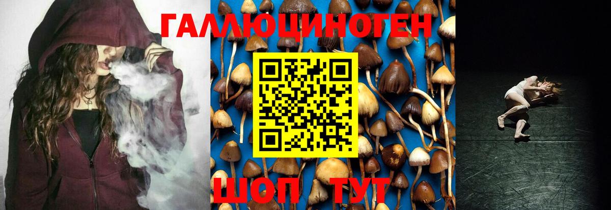 Псилоцибиновые грибы MAGIC MUSHROOMS  Верхняя Пышма 