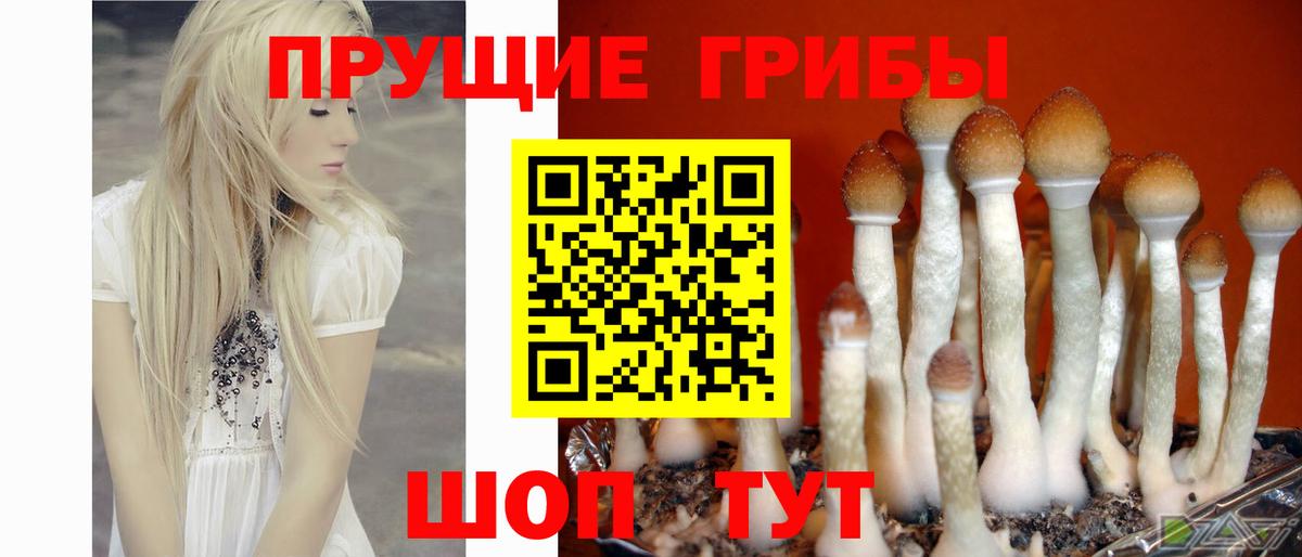 Галлюциногенные грибы MAGIC MUSHROOMS Верхняя Пышма
